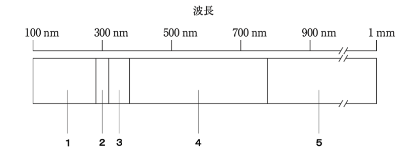 解説画像